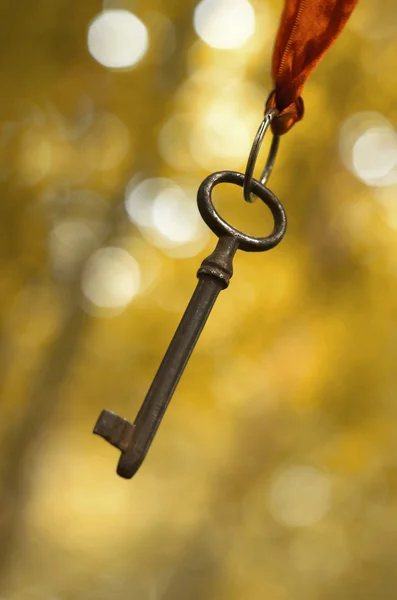 Menggantung kunci lama — Stok Foto