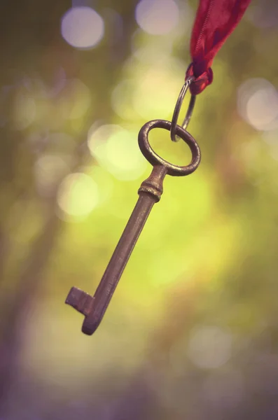 Framgång idé - hängande nyckel — Stockfoto