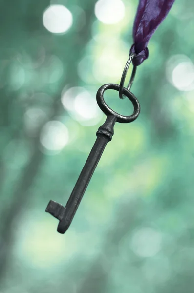 Vintage chave pendurado — Fotografia de Stock