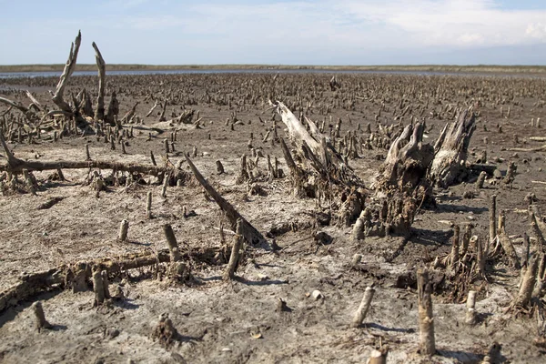 La contaminación global — Foto de Stock