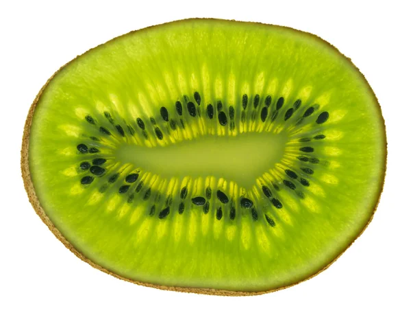 Kiwi fruits isolés sur blanc — Photo