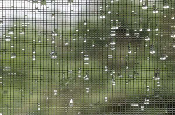 Gotas de agua de lluvia —  Fotos de Stock