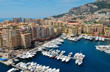 Monte Carlo bağlantı noktası