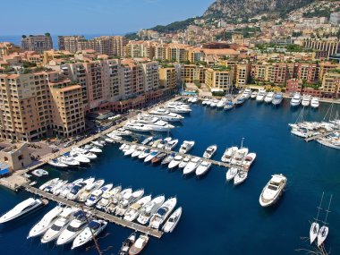 Monte Carlo bağlantı noktası