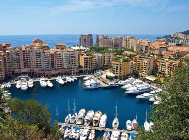 Monte Carlo bağlantı noktası