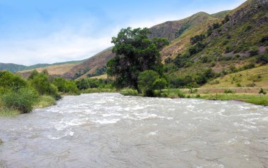 Dağ nehri