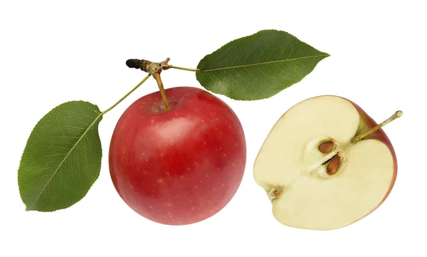 Apple red and half — Stock Photo, Image