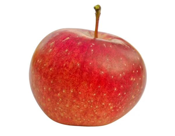 Rött äpple — Stockfoto