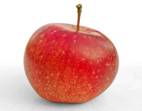 Rött äpple — Stockfoto