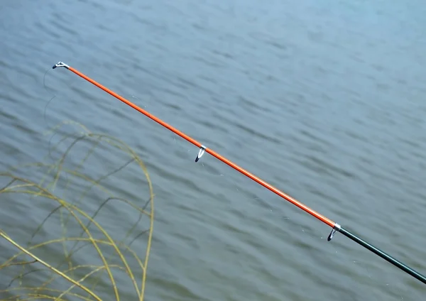 Fishing-rod — Stock fotografie