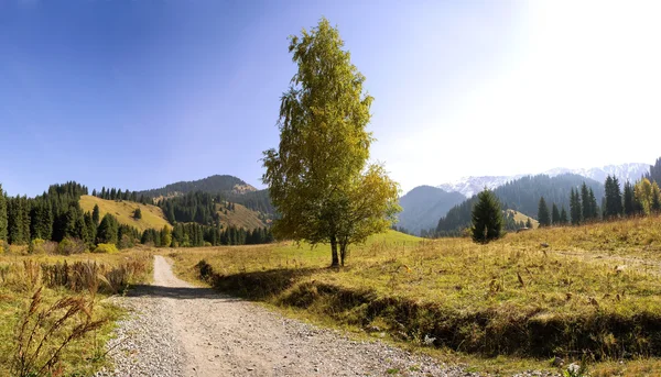 Blick auf die Alpen — Stockfoto