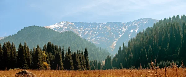 Blick auf die Alpen — Stockfoto