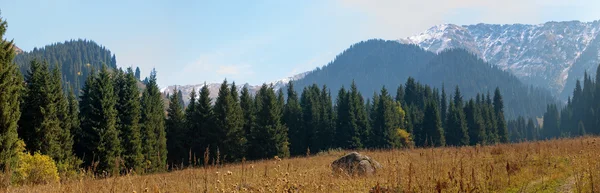 Blick auf die Alpen — Stockfoto