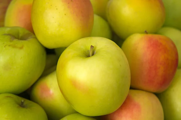 Зеленого яблука — стокове фото