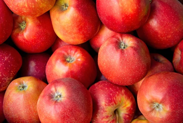 Tło czerwone jabłka — Zdjęcie stockowe