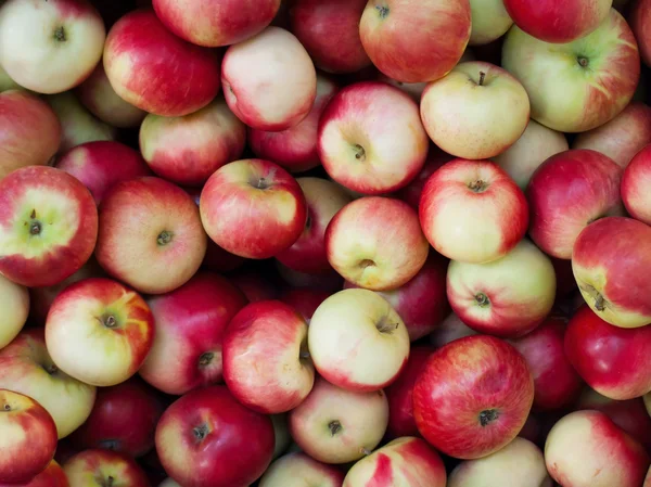 Manzanas fondo rojo —  Fotos de Stock