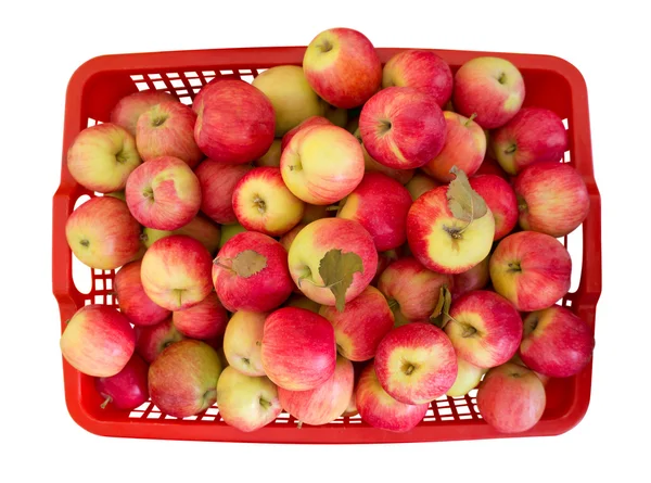 Jabłka czerwone w kosz na białym tle — Zdjęcie stockowe