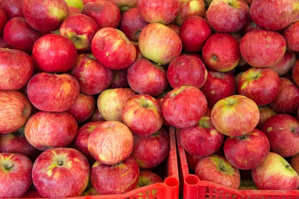 Manzanas rojas —  Fotos de Stock