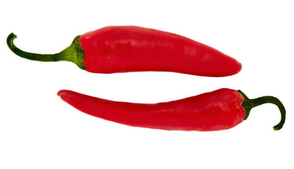 Chili paprika, vörös — Stock Fotó