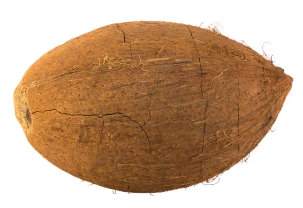 Coconut — Stock Photo, Image