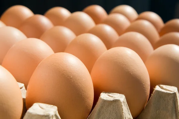 Ovos em uma caixa — Fotografia de Stock