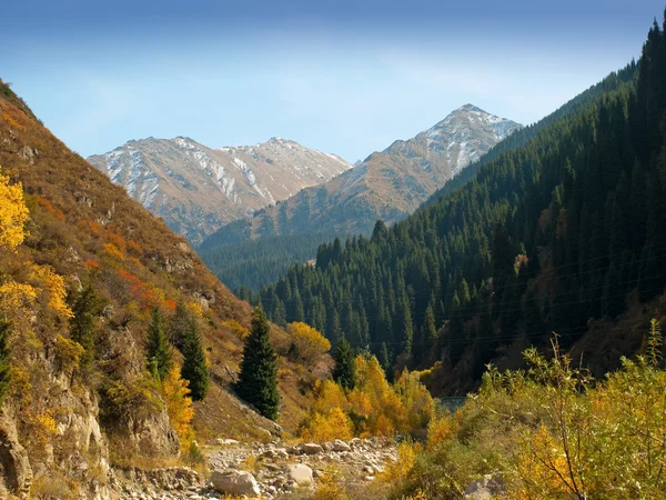 Dağlar sonbahar panorama — Stok fotoğraf