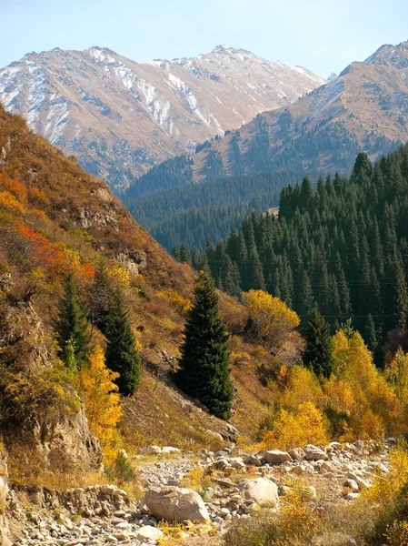 Dağlar sonbahar — Stok fotoğraf