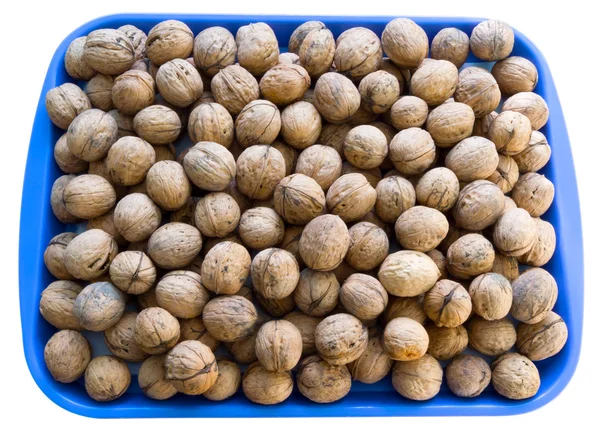 Walnuts plate — Stock Photo, Image