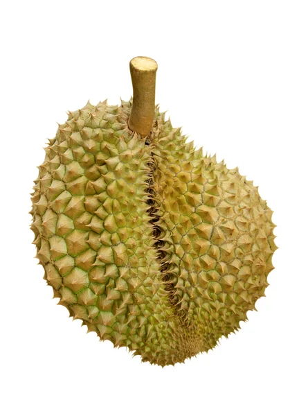 Durian elszigetelt — Stock Fotó