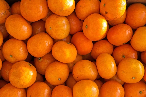 Oranges backgrounds — Stock Photo, Image