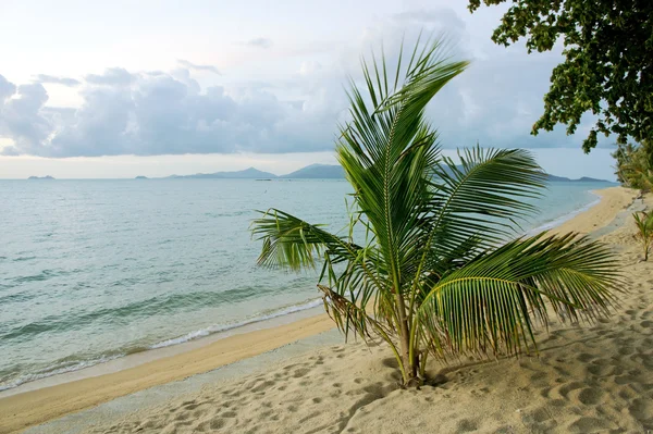 Tropical island — Stock Photo, Image