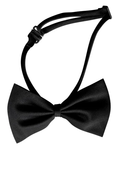 Bow-tie — Stock Photo, Image