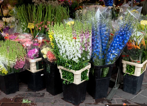 Niza - Flores en el mercado callejero —  Fotos de Stock