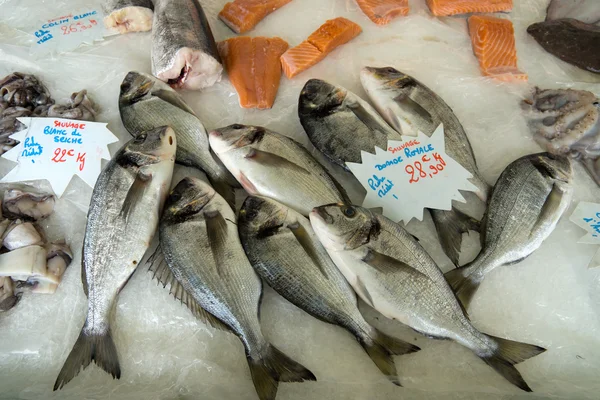 Nizza - pesce sul mercato del pesce — Foto Stock