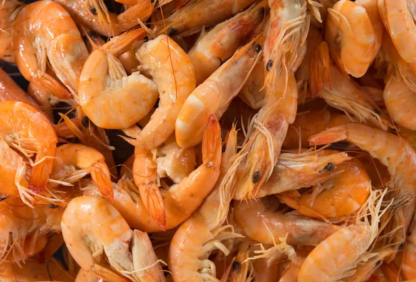 Shrimps — Stock Photo, Image