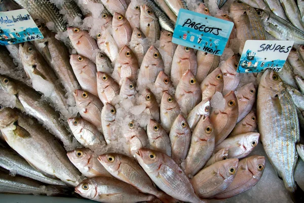 Nice - Fish Market — Stock Photo, Image