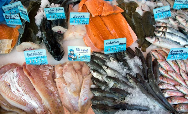 Nice - Fish Market — Stock Photo, Image