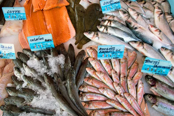 Nice - Fish Market — Stock Photo, Image