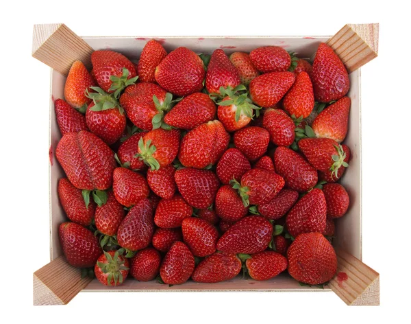 Erdbeere im Karton — Stockfoto