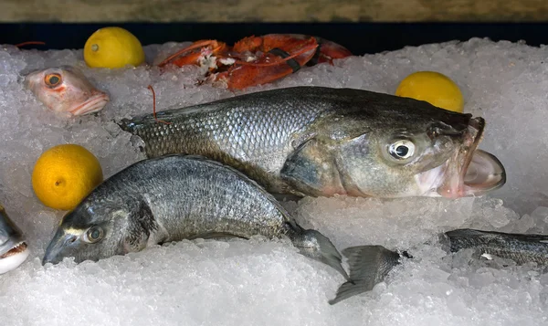 Seafood market — Stock Photo, Image