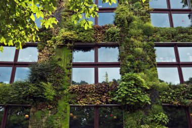 Paris - Quai Branly Mu dış kısmında yeşil duvar