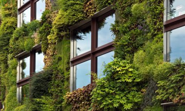 Paris - Quai Branly Mu dış kısmında yeşil duvar