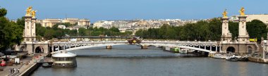 Paris - Panoramic view to Bridge of Alexandre III clipart