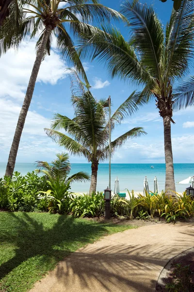 Mar tropical desde el jardín — Foto de Stock