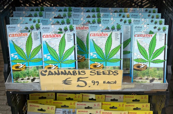 Amsterdam - kenevir tohumu sokak pazarında Satılık