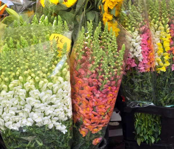Şehir güzel - çiçek sokak piyasada — Stok fotoğraf