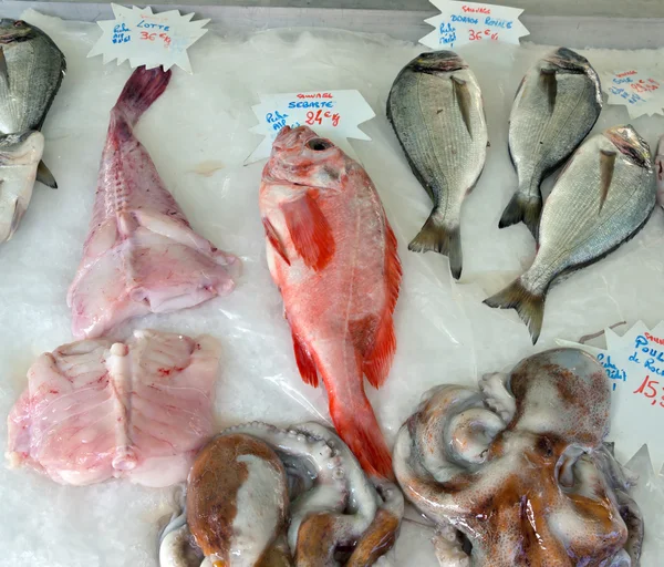 Cidade de Nice - Mercado de peixe — Fotografia de Stock