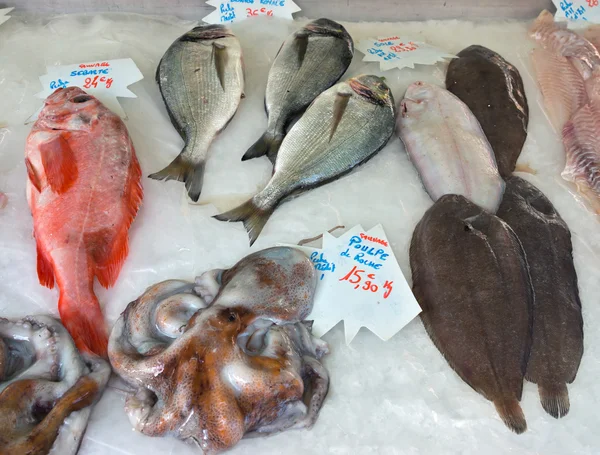 Cidade de Nice - Mercado de peixe — Fotografia de Stock