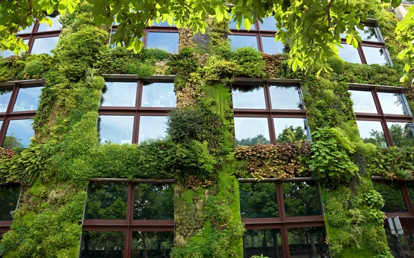 Paris - Quai Branly Mu dış kısmında yeşil duvar