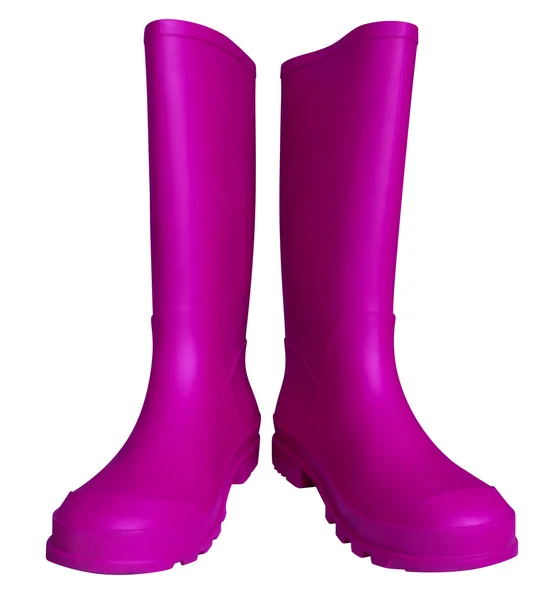 Rubber boots - violet — Stock Photo, Image